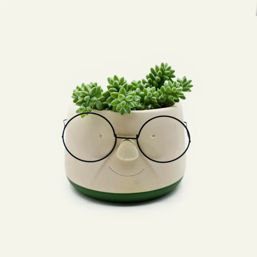 maceta gafas 2