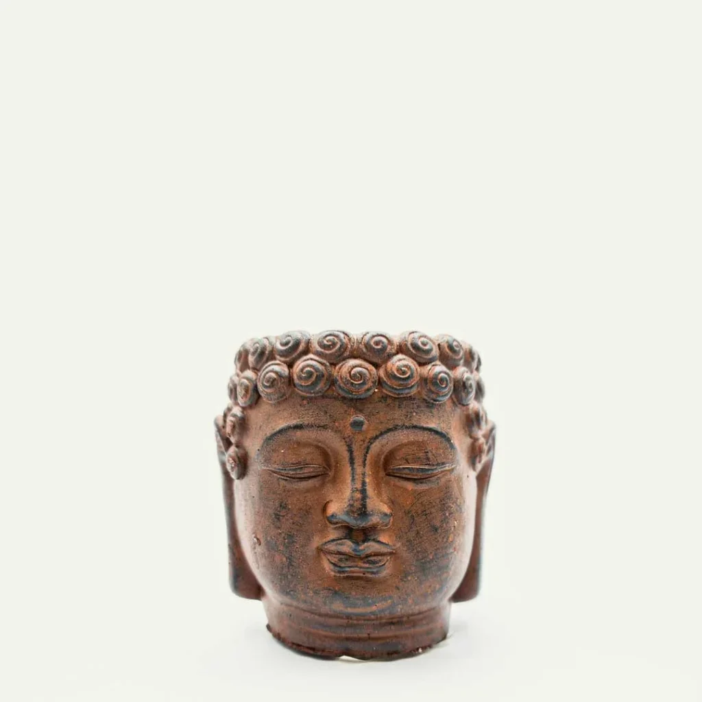 buda cobre 1