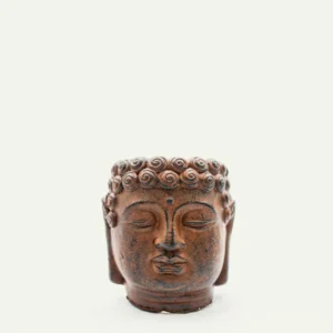 buda cobre 1