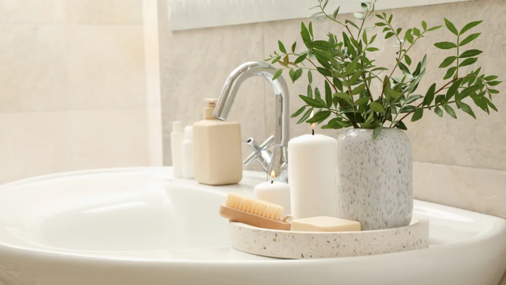 mejores plantas para baños