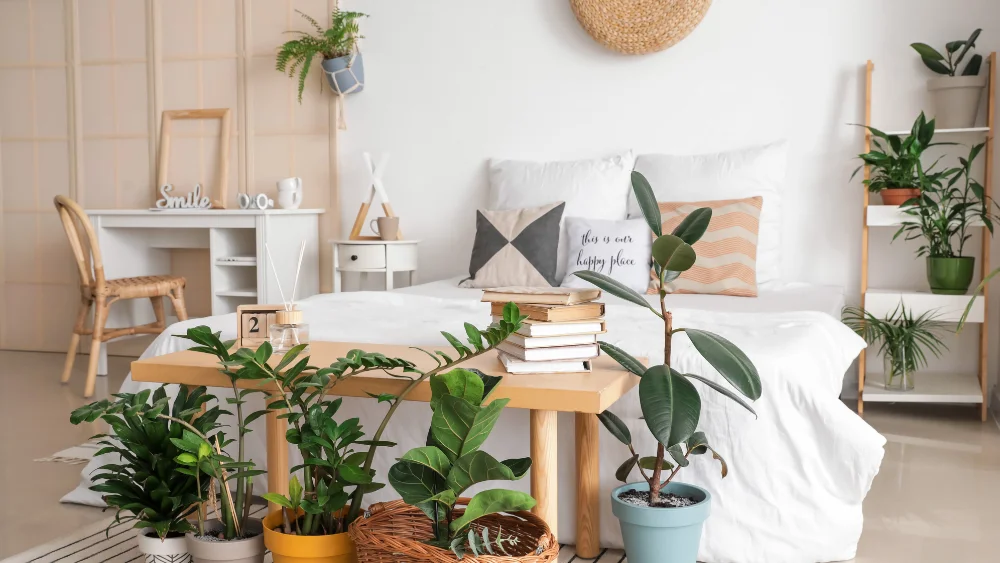 mejores plantas para dormitorio