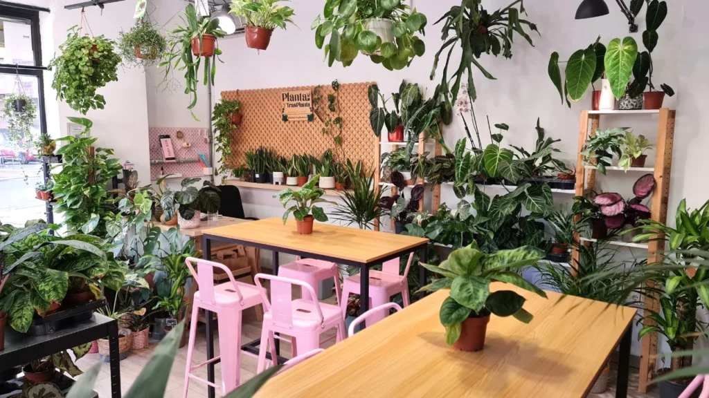 diagnostico plantas zaragoza en tienda