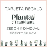 tarjeta regalo sesion individual