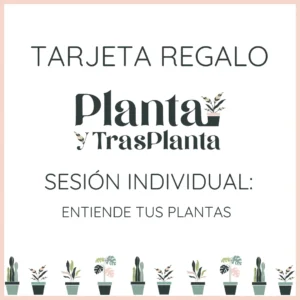 tarjeta regalo sesion individual