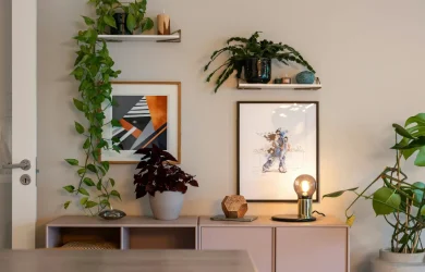 mejores plantas para principiantes